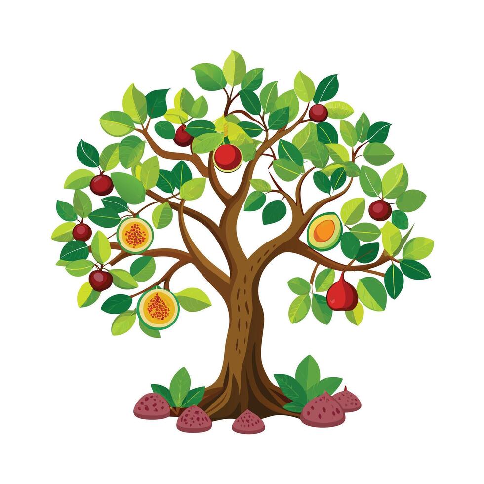 Beautiful Single Big Tree Illustration vector