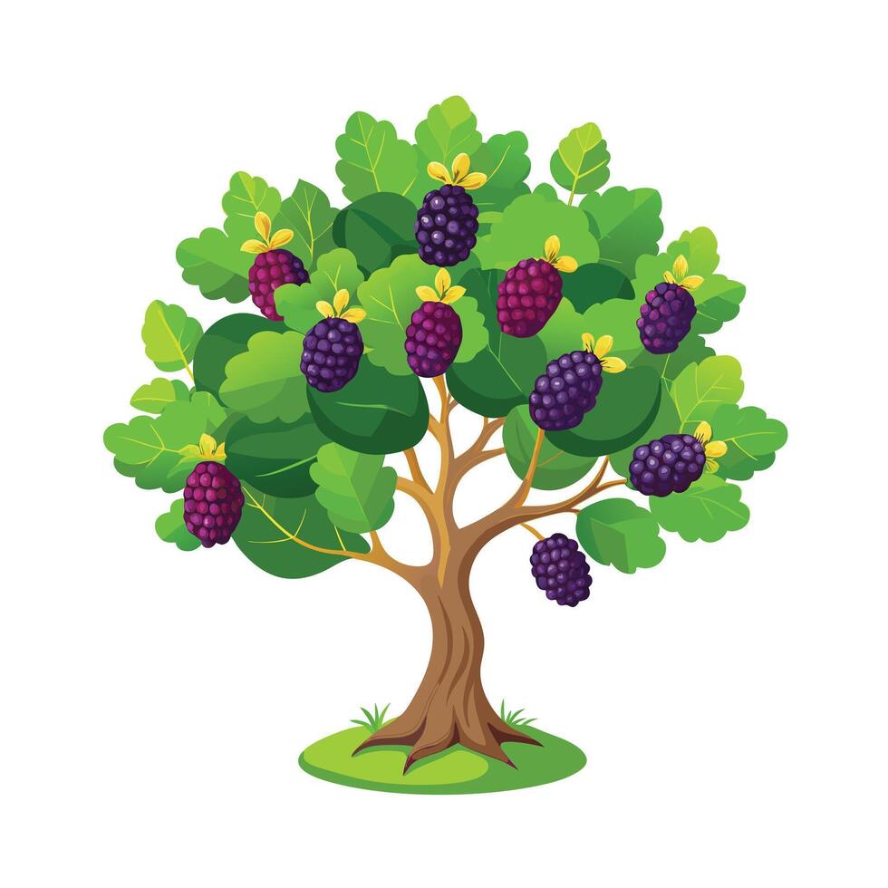 Beautiful Single Big Tree Illustration vector
