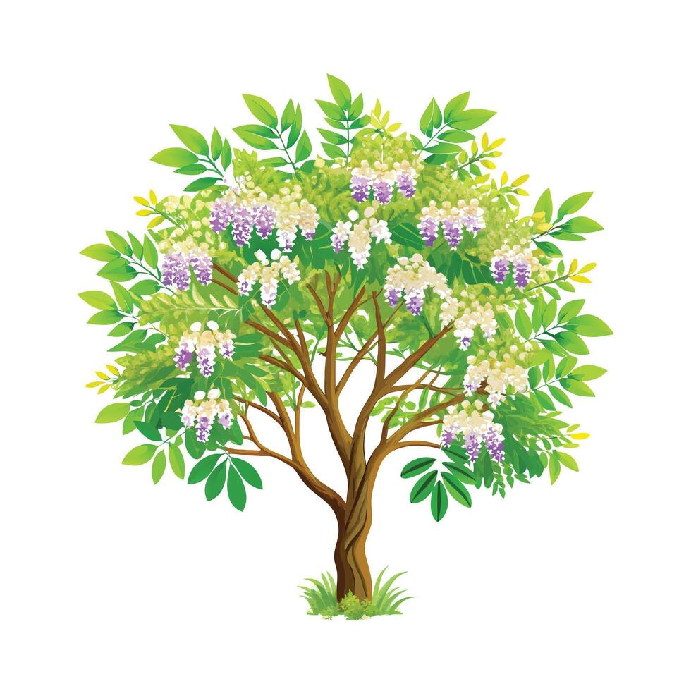 Beautiful Single Big Tree Illustration vector