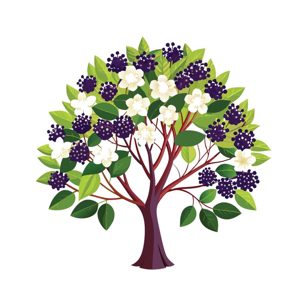 Beautiful Single Big Tree Illustration vector