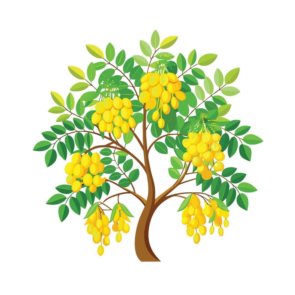 Beautiful Single Big Tree Illustration vector