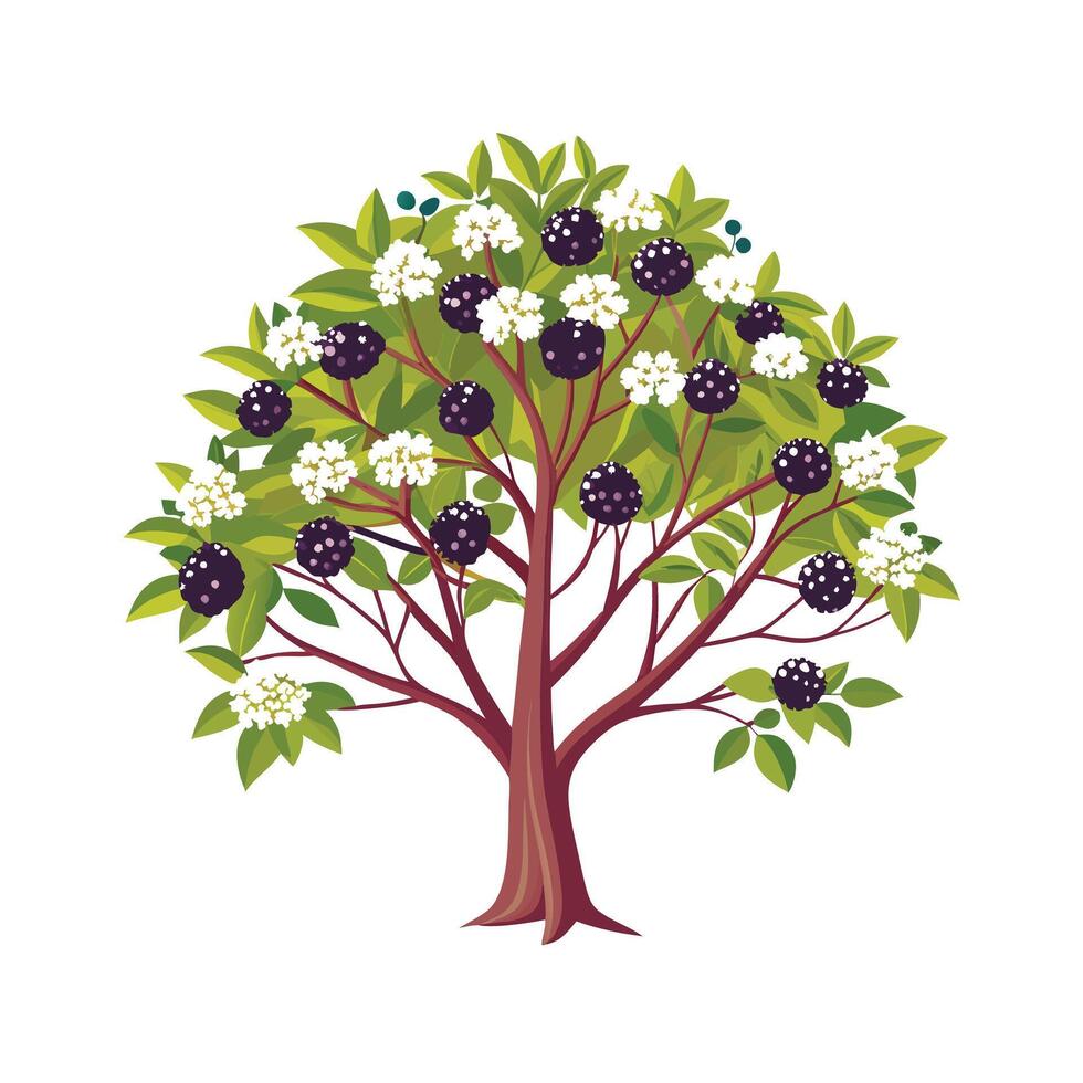 Beautiful Single Big Tree Illustration vector