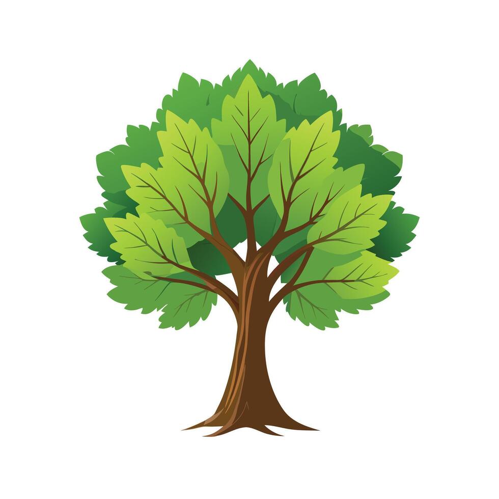 Beautiful Single Big Tree Illustration vector