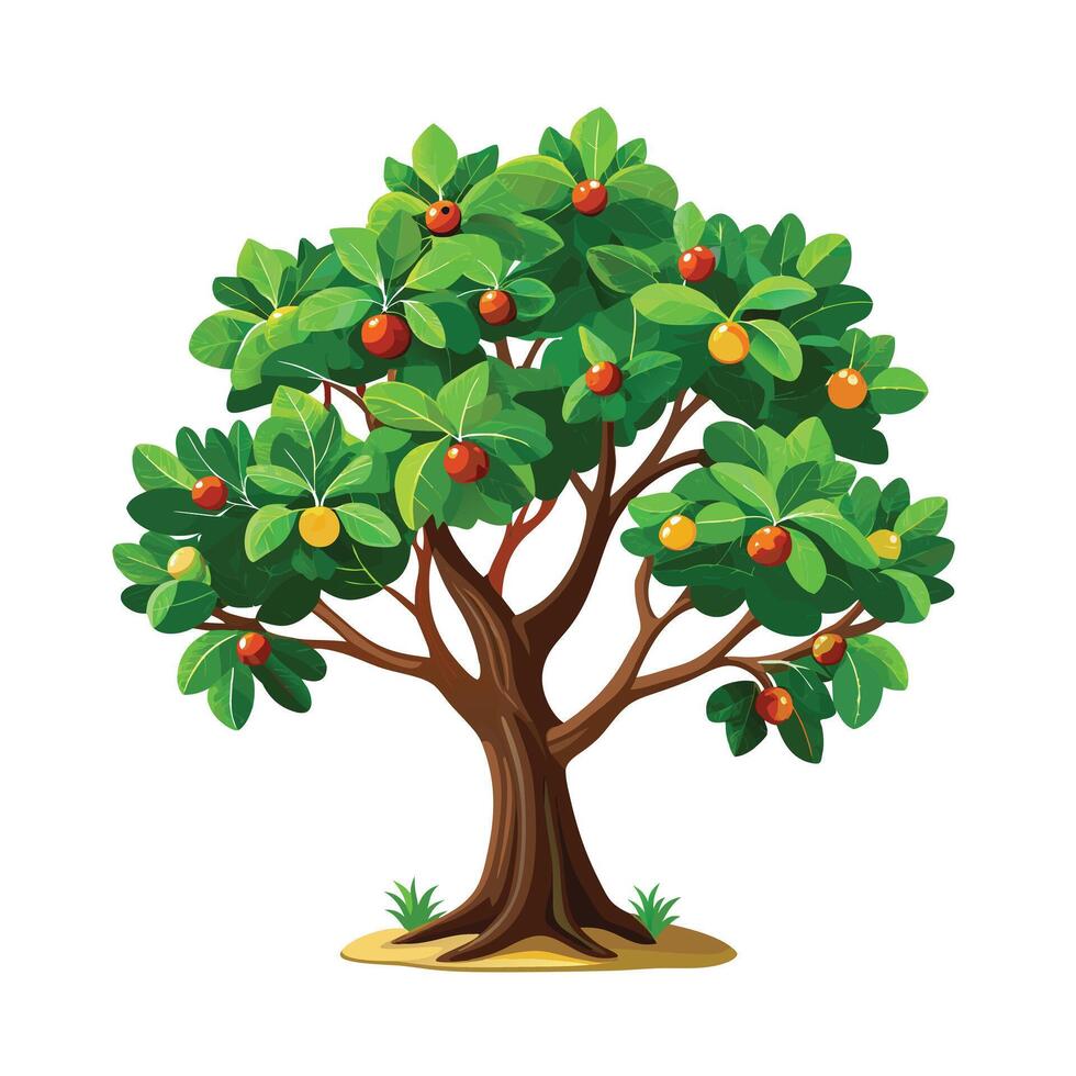 Beautiful Single Big Tree Illustration vector