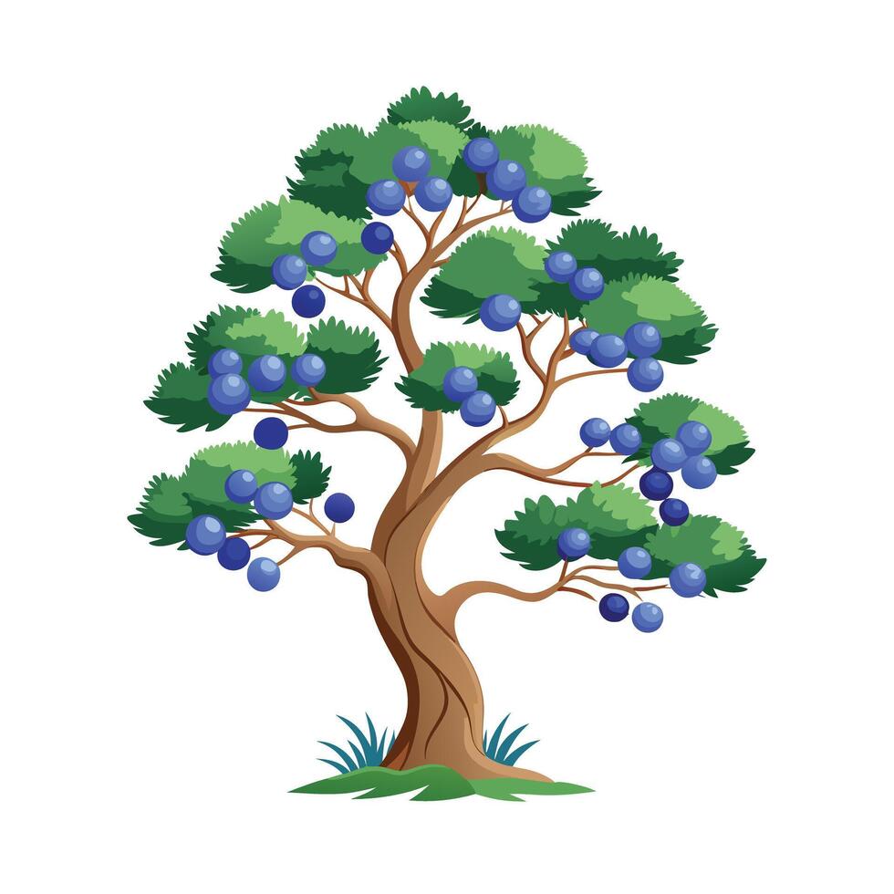 Beautiful Single Big Tree Illustration vector