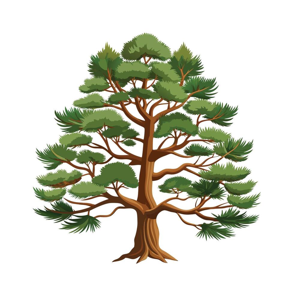 Beautiful Single Big Tree Illustration vector