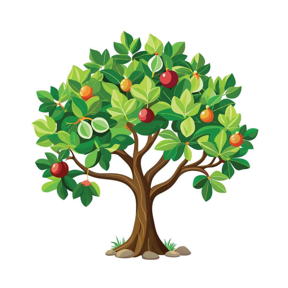 Beautiful Single Big Tree Illustration vector