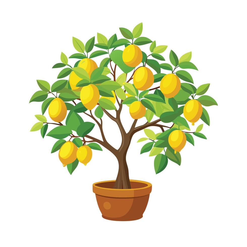 Beautiful Flowerpot Houseplant Illustration vector