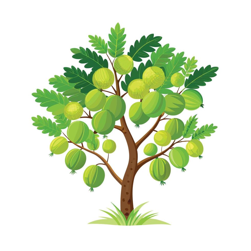 Beautiful Single Big Tree Illustration vector