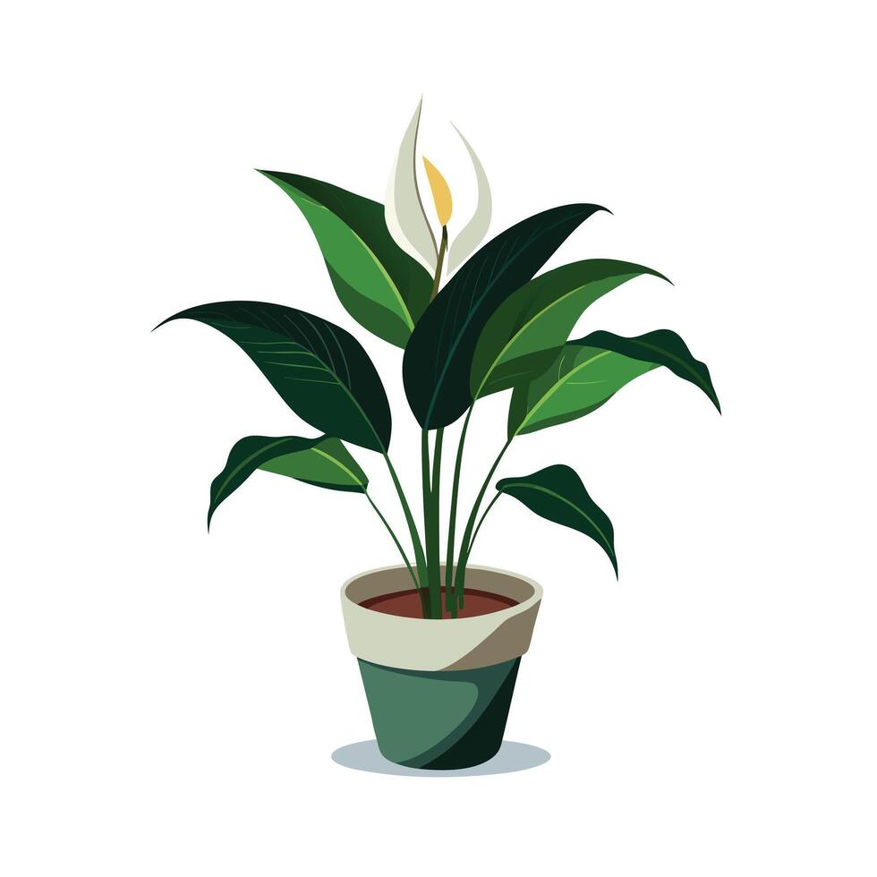 Beautiful Flowerpot Houseplant Illustration vector