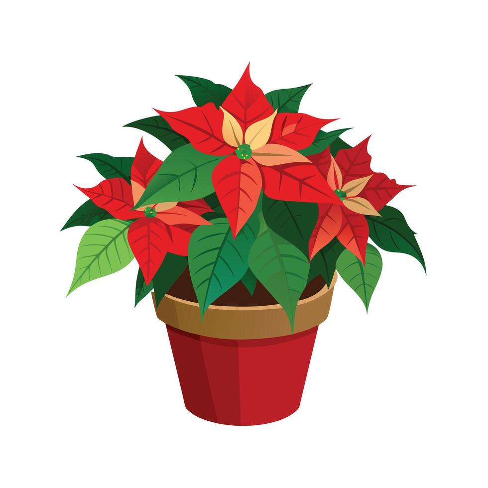 Beautiful Flowerpot Houseplant Illustration vector