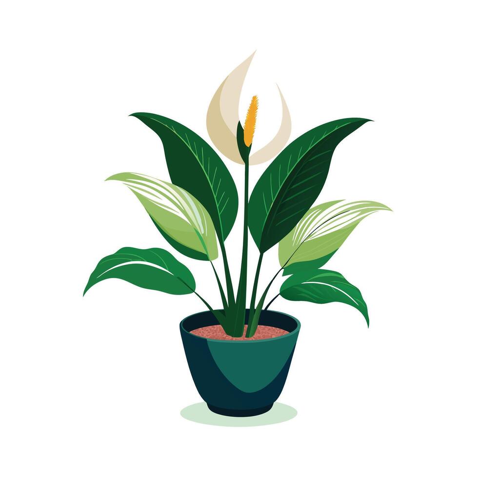Beautiful Flowerpot Houseplant Illustration vector
