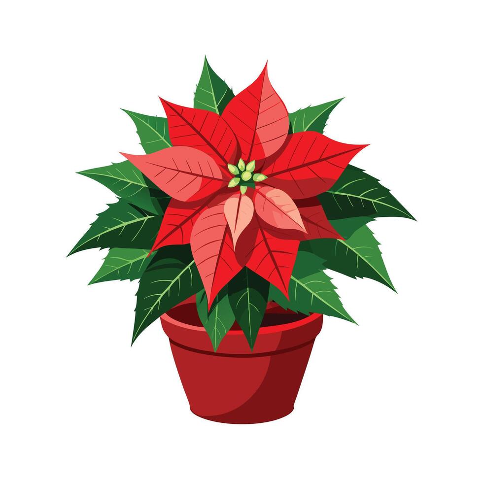 Beautiful Flowerpot Houseplant Illustration vector