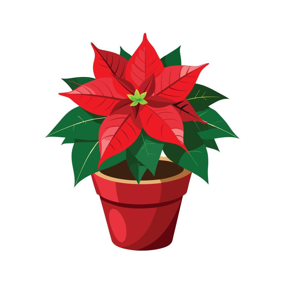 Beautiful Flowerpot Houseplant Illustration vector