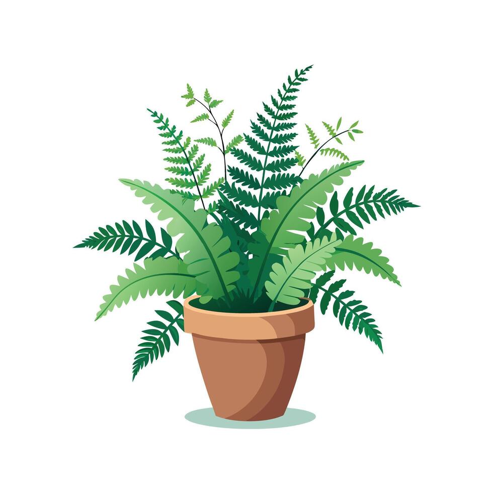 Flowerpot Houseplant Illustration vector