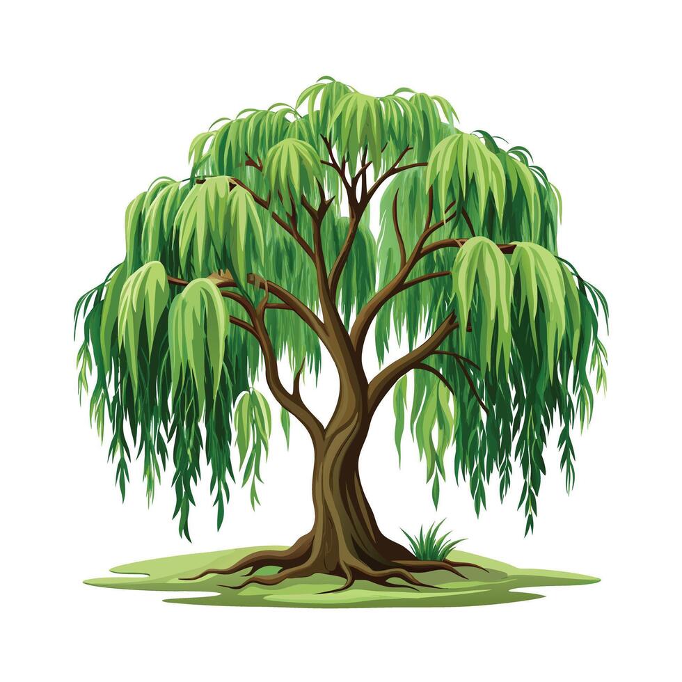 Beautiful Single Big Tree Illustration vector