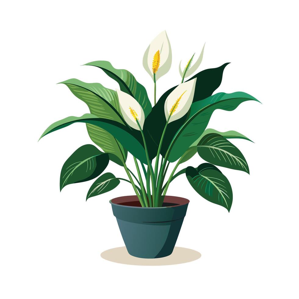 Beautiful Flowerpot Houseplant Illustration vector