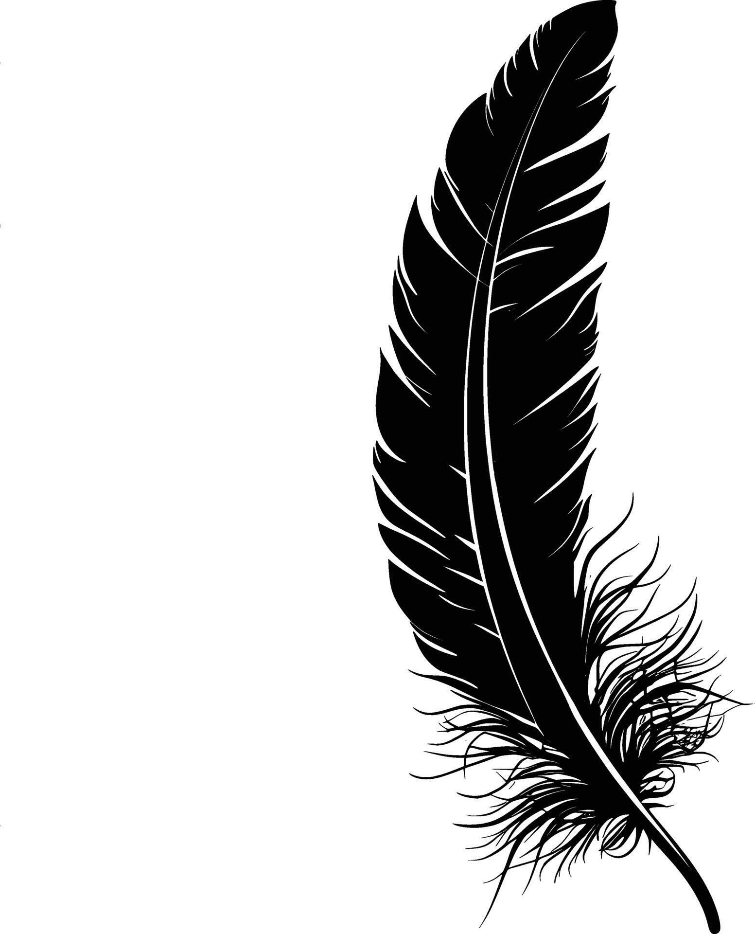 Simple quill pen feather black and white clip art. 47622804 Vector Art