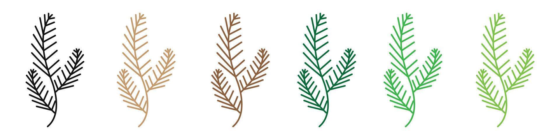Natural Pine Branch Icons with Fir Needles Symbolizing Evergreen Foliage vector