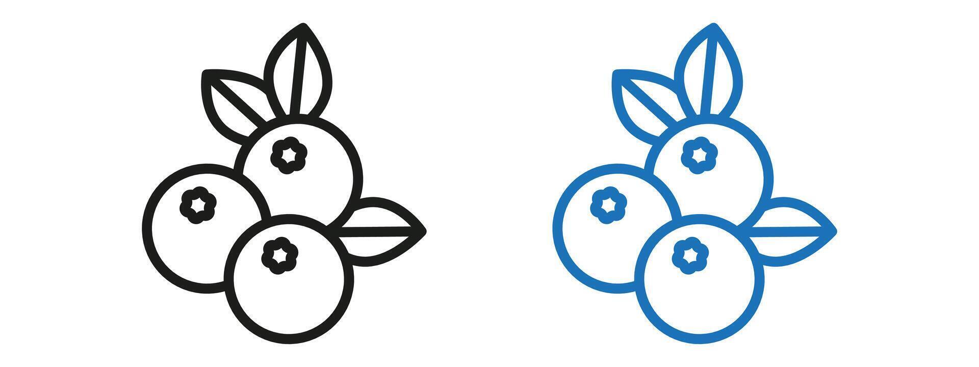 Blueberry icon set vector