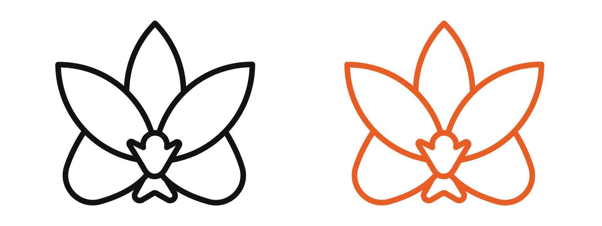 Moth Orchid icon vector