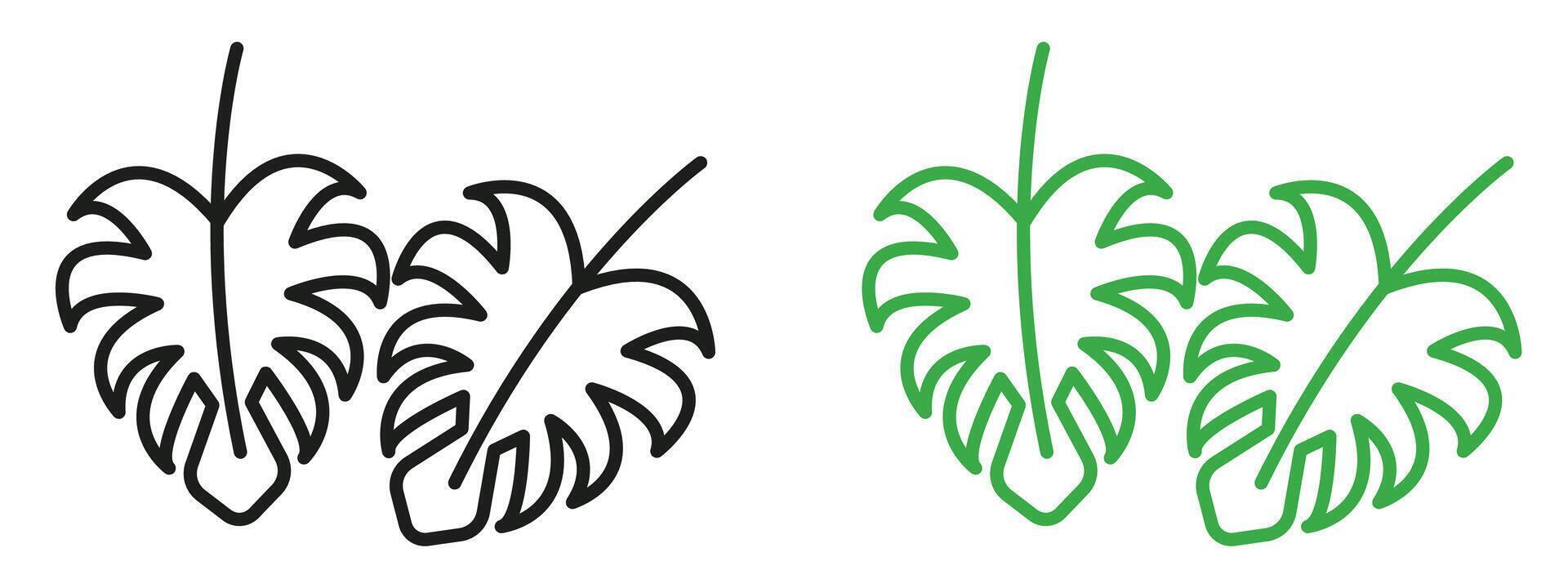 Monstera Deliciosa Leaf Graphic Highlighting Trendy and Exotic Houseplants vector