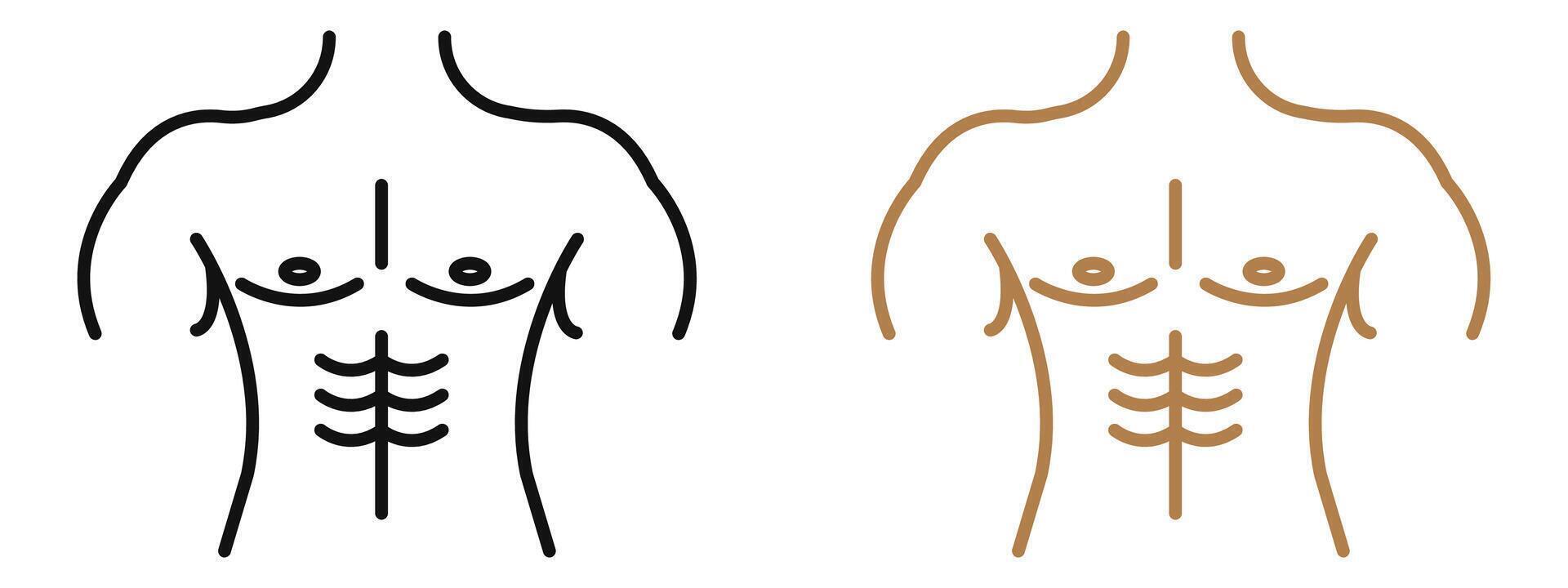 Fitness Torso Icon for Male Anatomy, Workout Guides, and Health Illustrations vector
