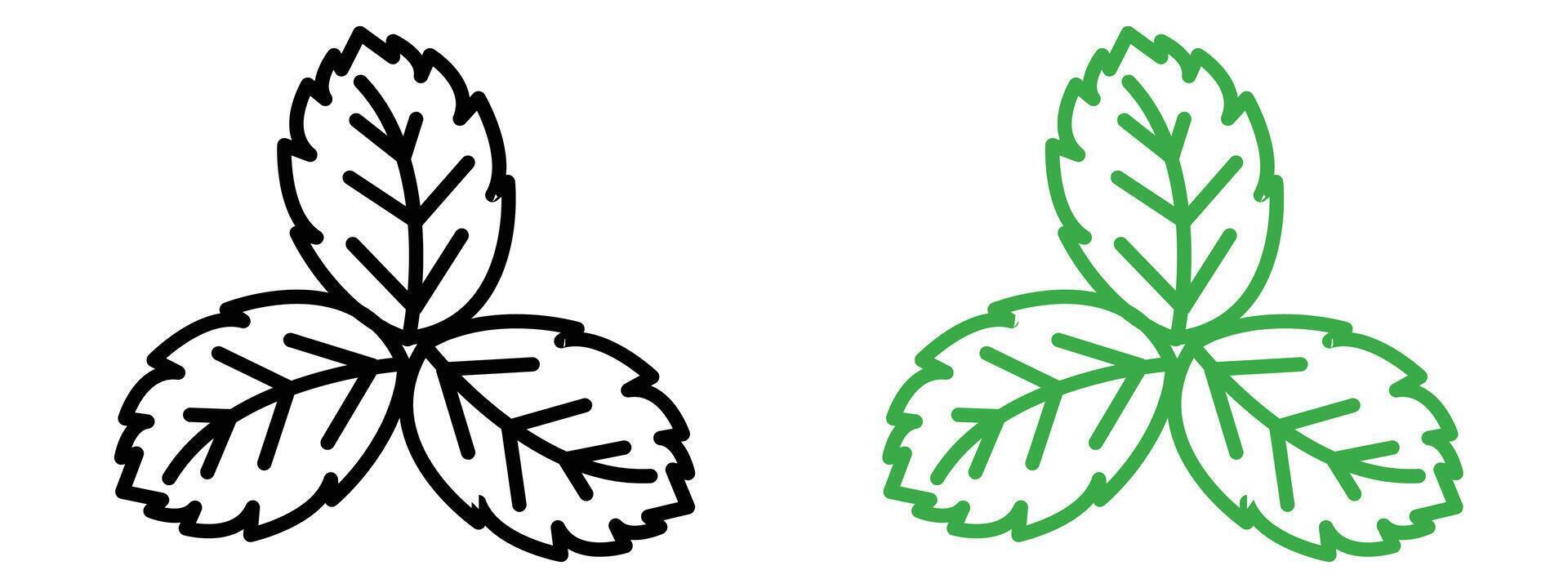 Fresh Mint Icon Ideal for Culinary and Wellness Projects vector