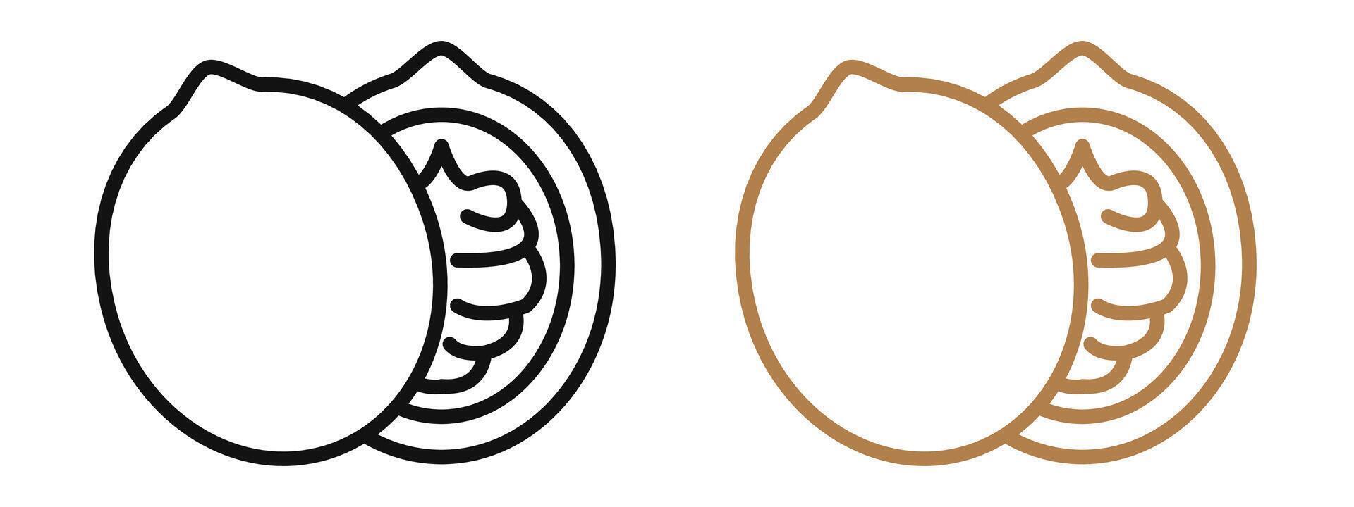 Walnut icon mark in filled style vector
