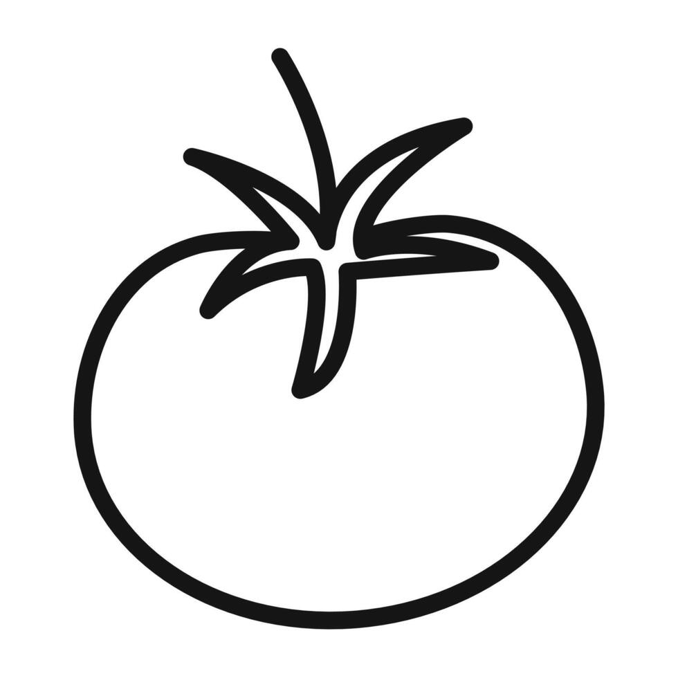 Tomato Icon Pack Fresh Tomato Illustrations for Cooking and Gardening vector