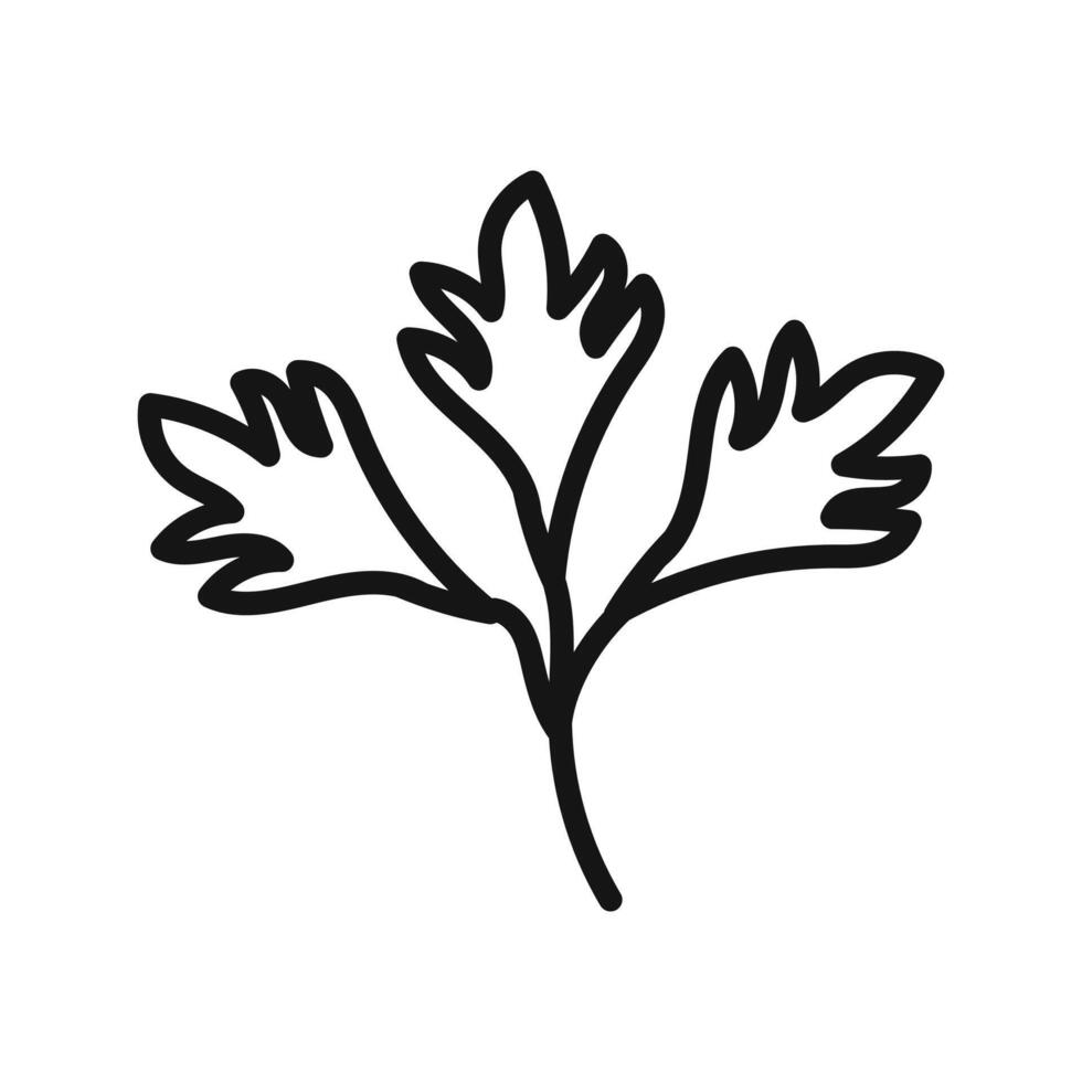 Parsley icon mark in filled style vector
