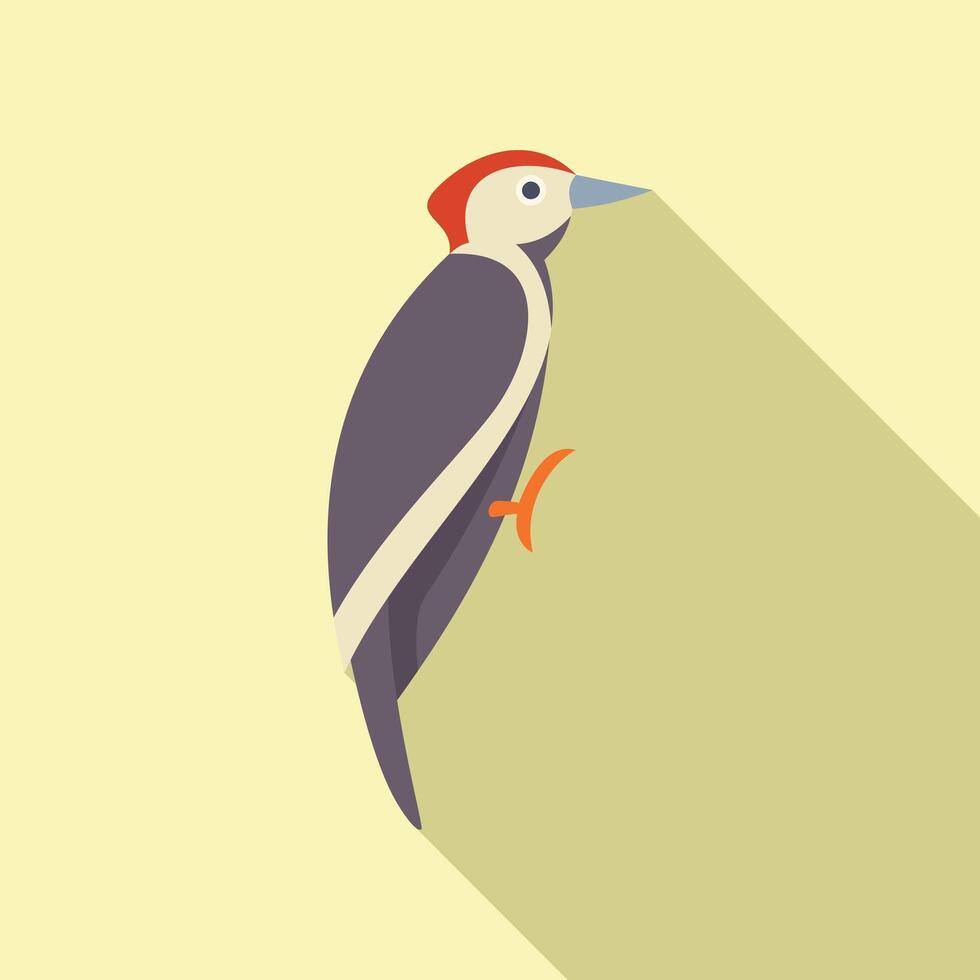 Woodpecker is clinging to a branch vector