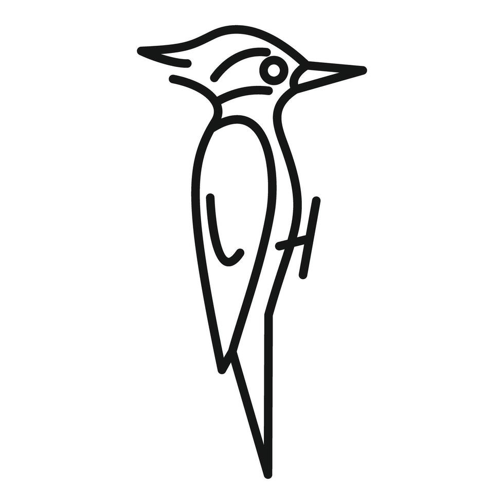 Woodpecker bird standing looking right side view minimalist line drawing vector