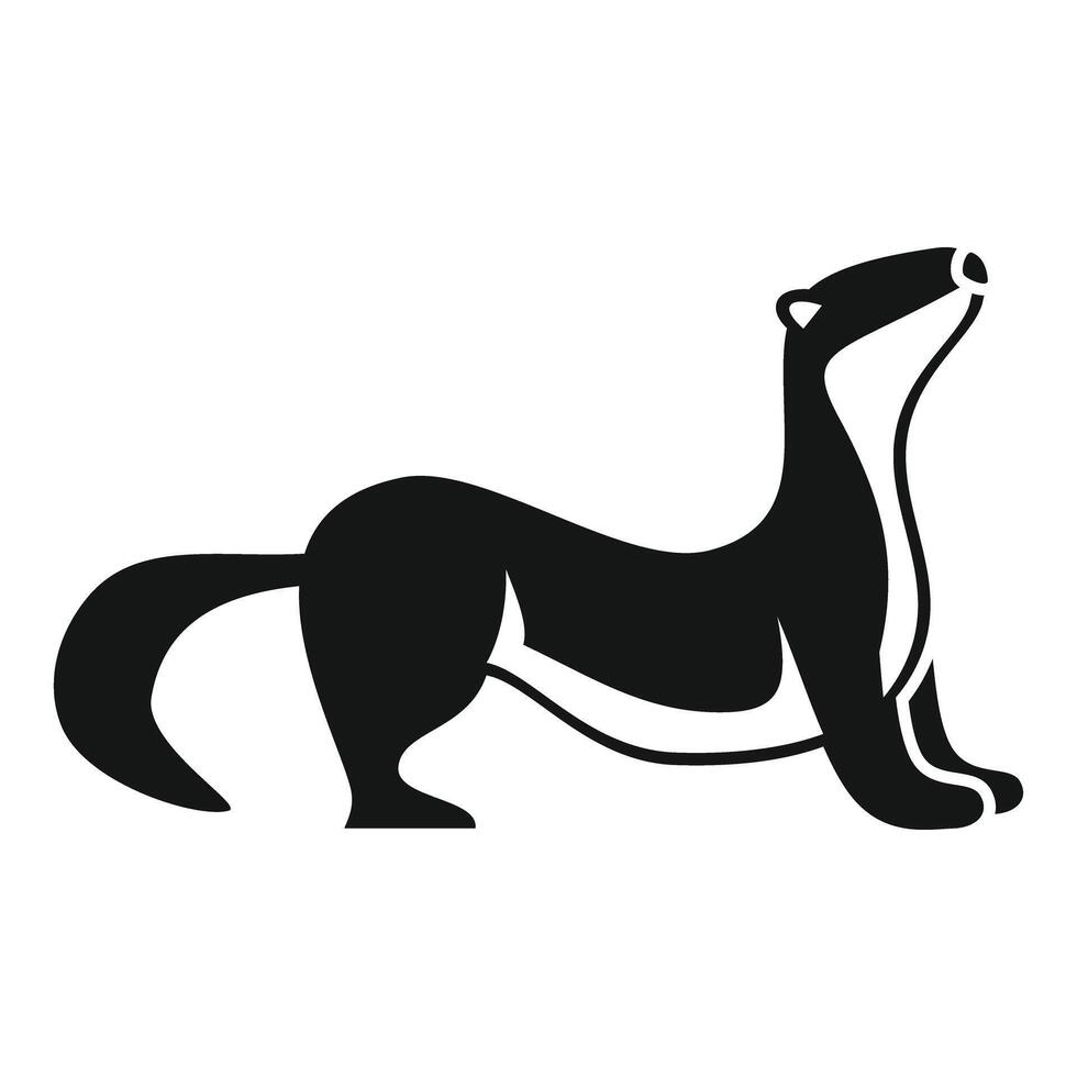 Black and white ferret standing looking up icon vector