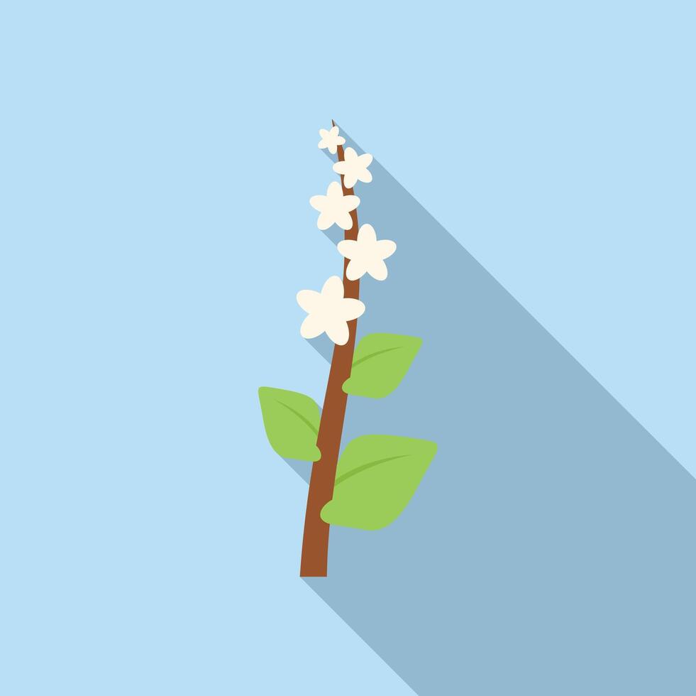 White jasmine branch blooming with green leaves vector