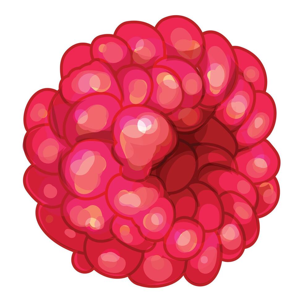 Fresh red raspberry showing tiny juicy bubbles vector