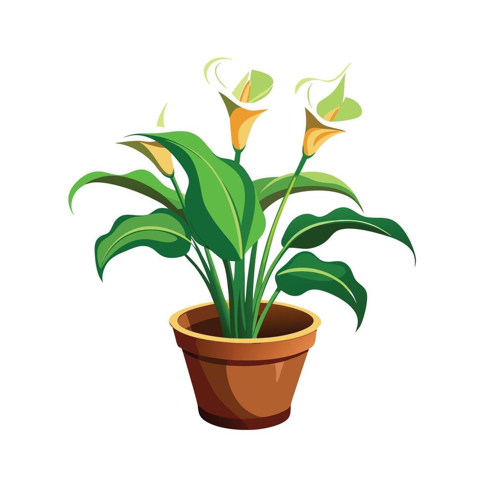 Beautiful Flowerpot Houseplant Illustration vector