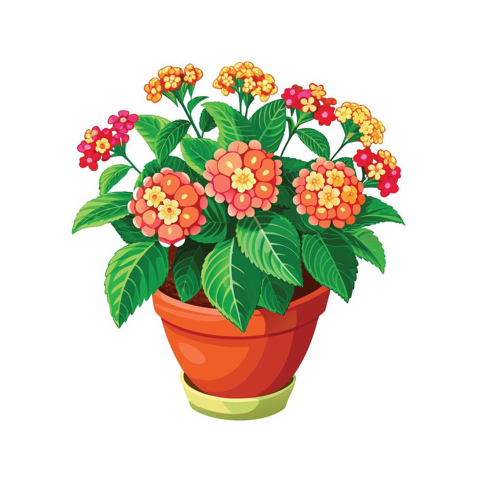 Beautiful Flowerpot Houseplant Illustration vector