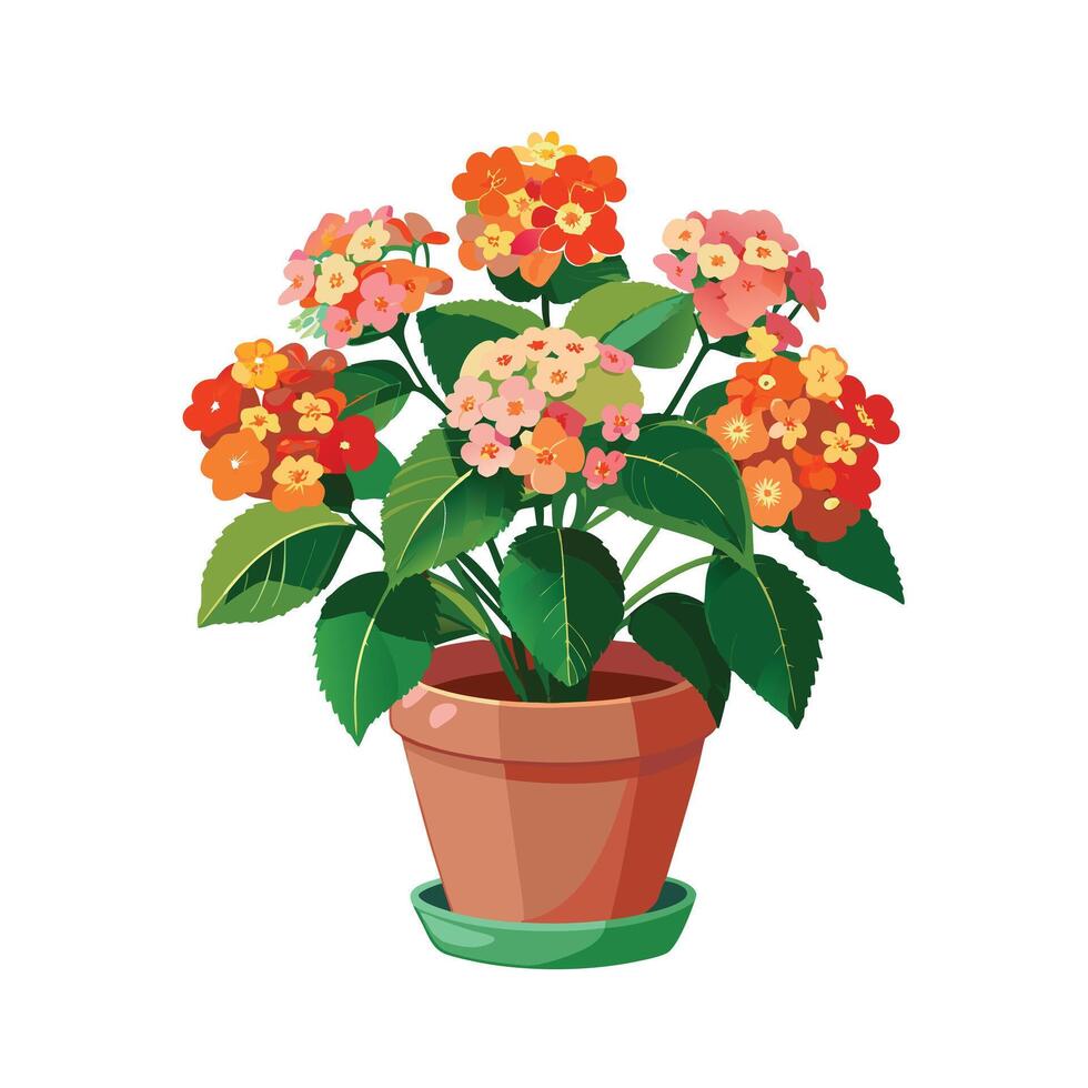 Beautiful Flowerpot Houseplant Illustration vector