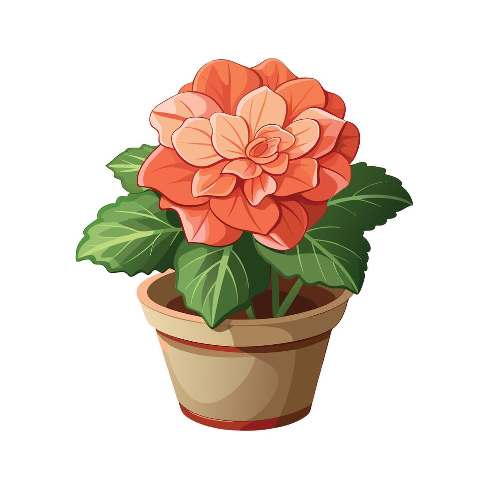 Beautiful Flowerpot Houseplant Illustration vector