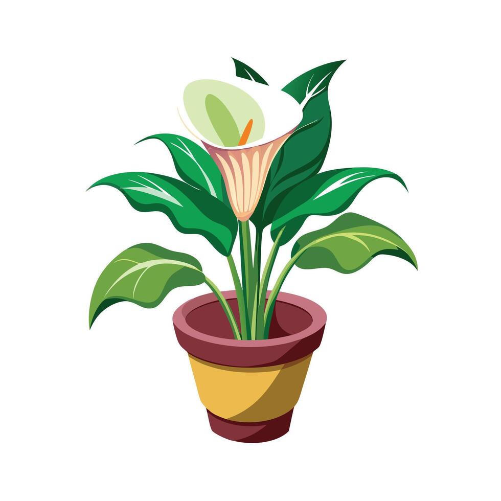Beautiful Flowerpot Houseplant Illustration vector