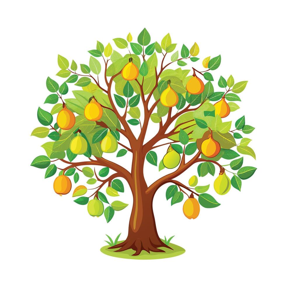 Beautiful Single Big Tree Illustration vector