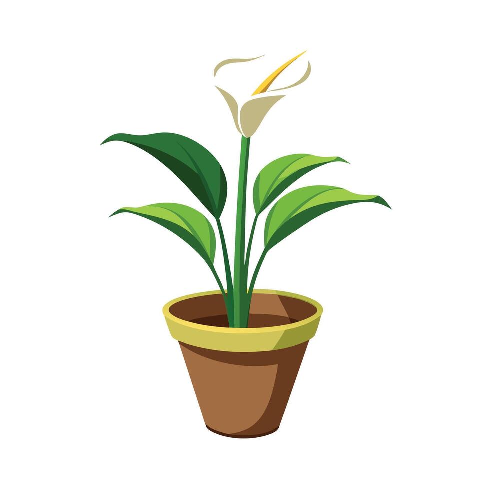 Beautiful Flowerpot Houseplant Illustration vector