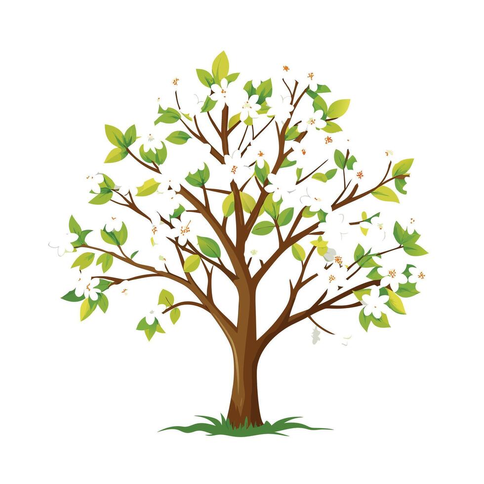 Beautiful Single Big Tree Illustration vector