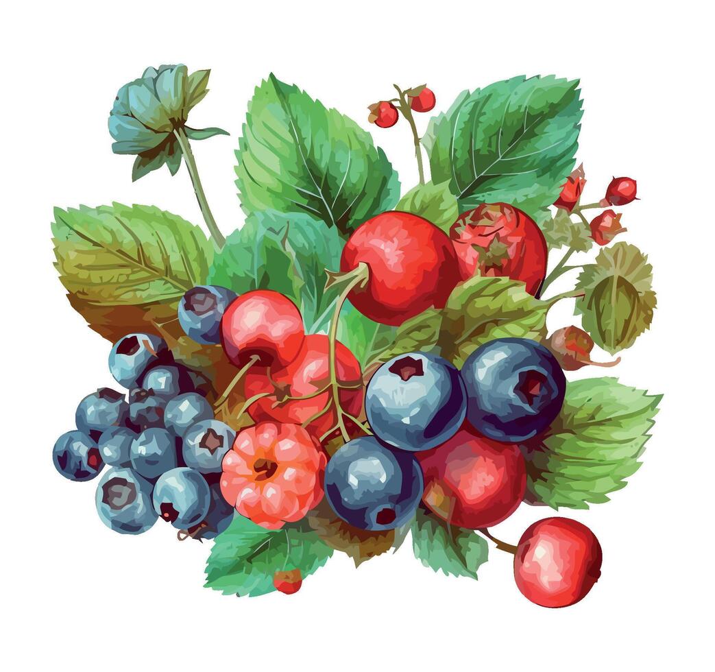Fresh berries and leaves, nature sweet icon isolated vector