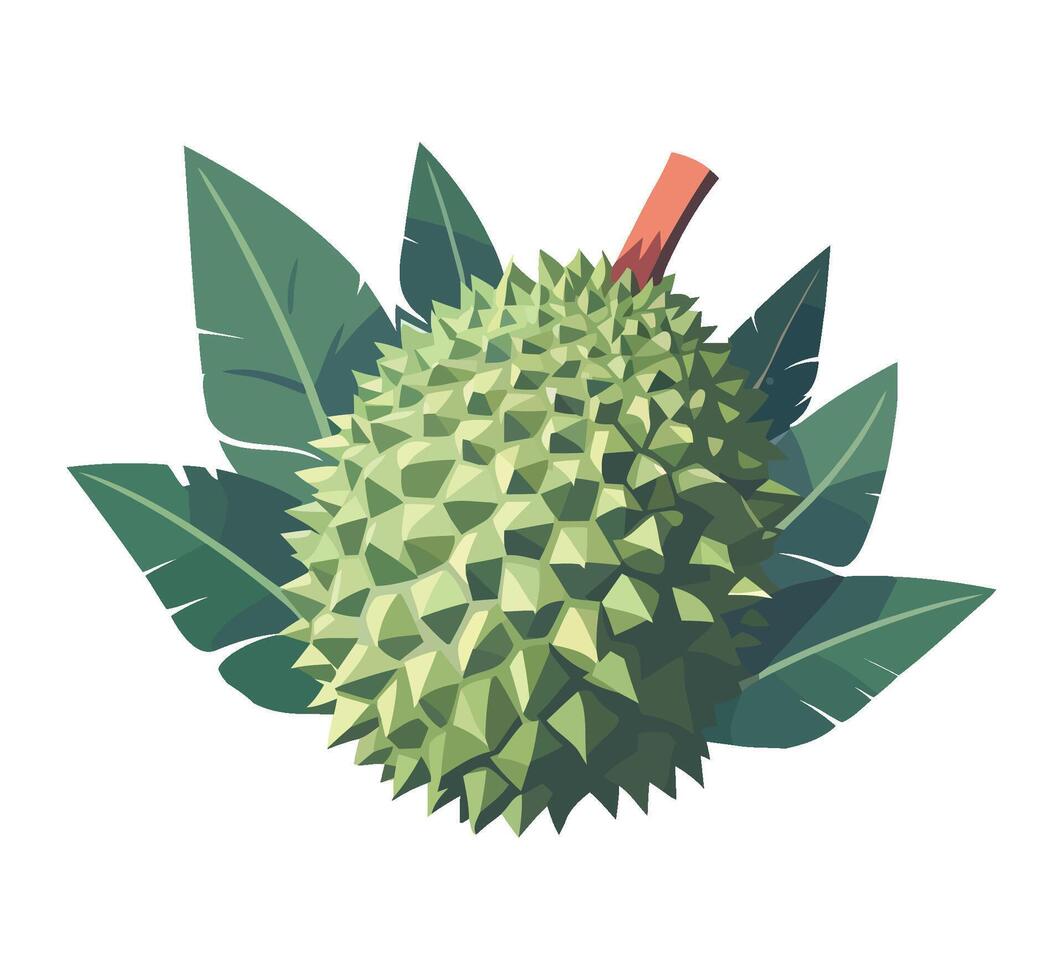 Fresh organic fruit durian, healthy summer eating icon isolated vector