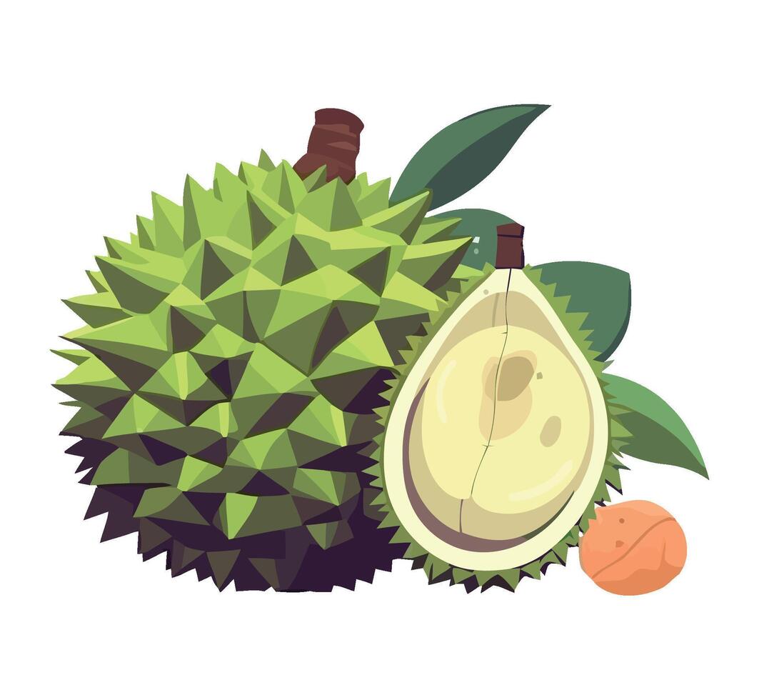 Ripe fruit Durian, healthy eating and freshness icon isolated vector