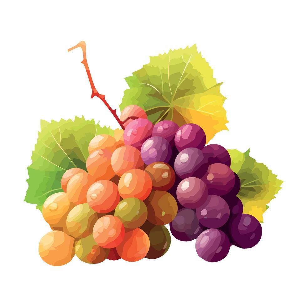 Juicy grapes on leafy branch, autumn harvest icon isolated vector