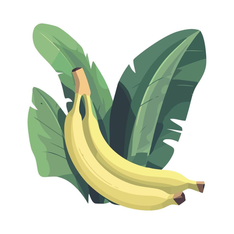 Ripe banana, fruits on tropical leaves icon isolated vector