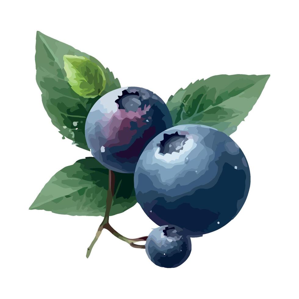 Juicy blueberries on fresh green leaf branch icon isolated vector